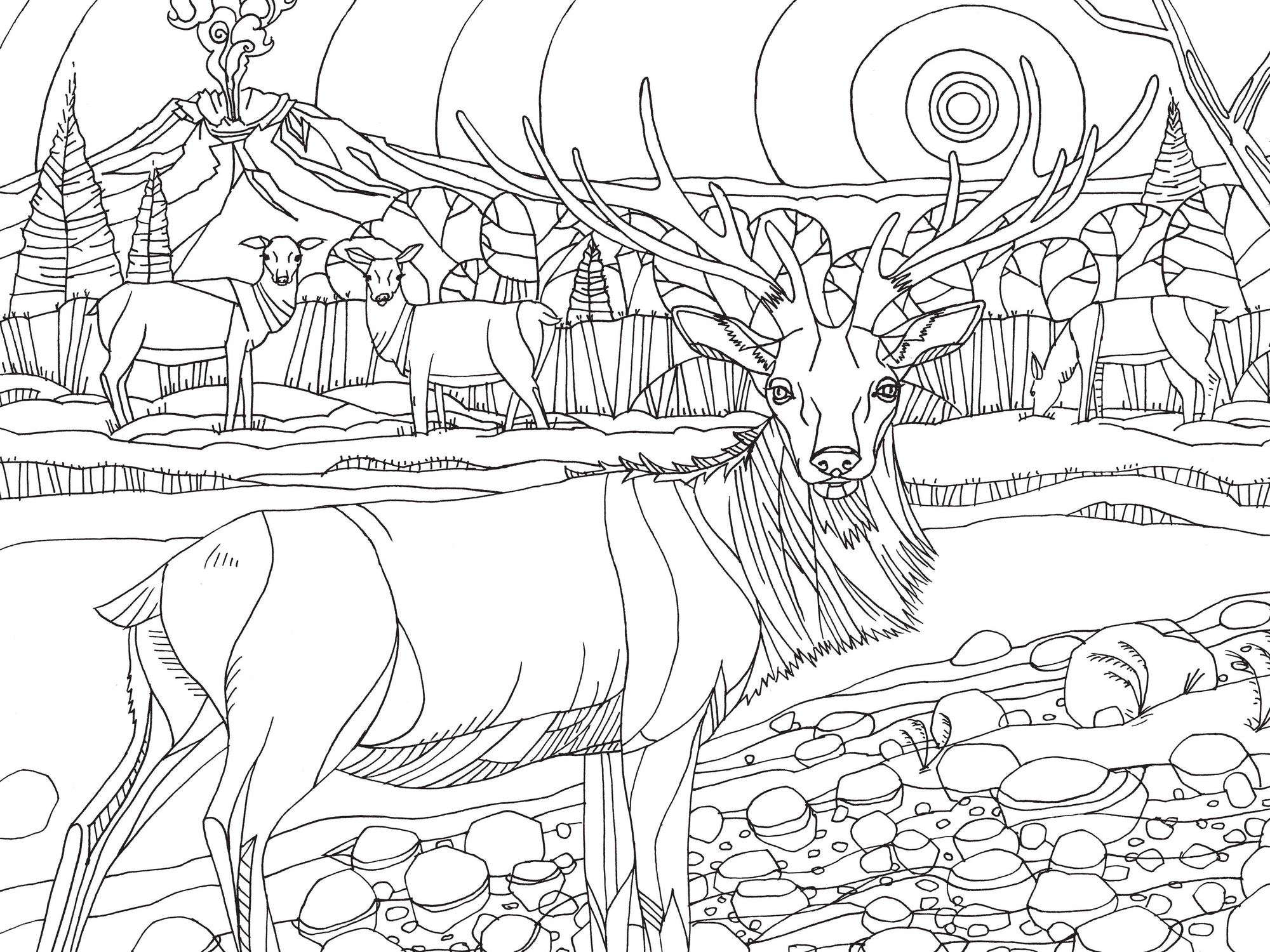 Pacific Northwest Nature Coloring Book