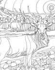 Pacific Northwest Nature Coloring Book