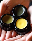 AMBER FOREST | Solid Perfume - Poplar bud, amber, spruce