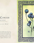 Wild Medicine: Illustrated Guide to the Magick of Herbs