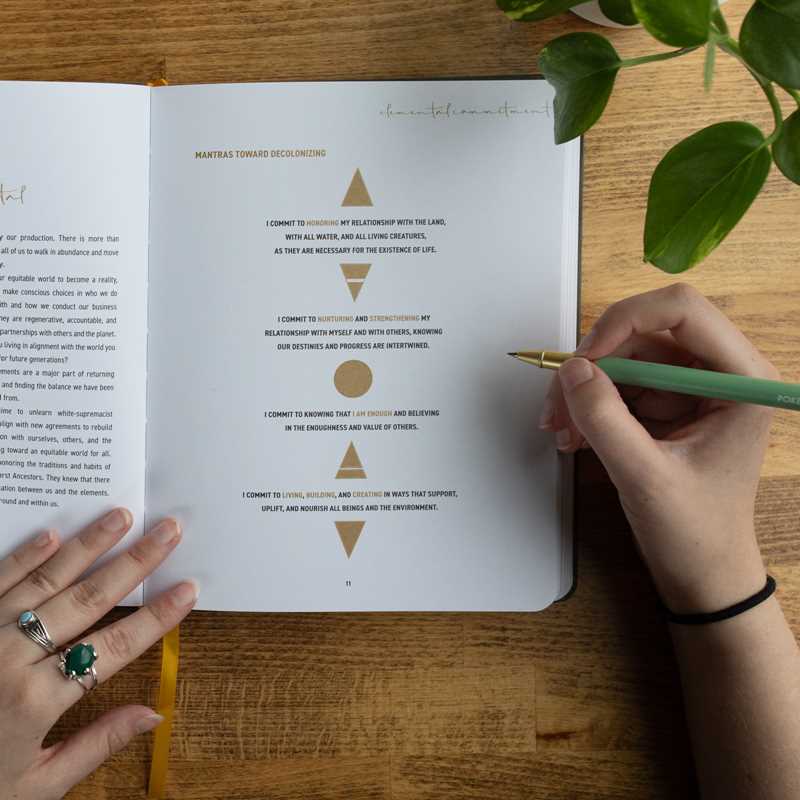 Elemental Alchemist Guided Journal by Nyasha  Williams