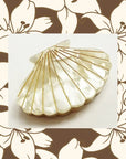 Ivory Clam Shell Claw Clip