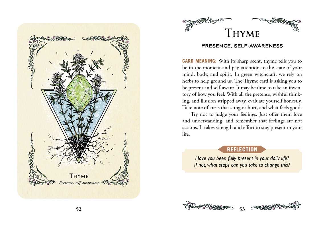 Green Witch&#39;s Oracle Deck by Arin Murphy-Hiscock