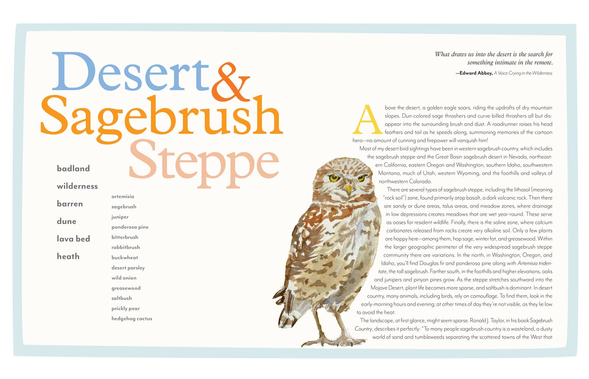 Birds of the West: An Artist's Guide