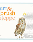 Birds of the West: An Artist's Guide
