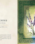 Wild Medicine: Illustrated Guide to the Magick of Herbs