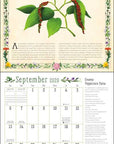 Kitchen Witch 2026 Wall Calendar by Amber Lotus Publishing