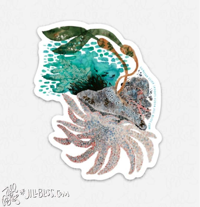 ART STUDY SUNSTAR CLIFF STICKER