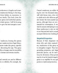 Mushroom Magick by Shawn Engel