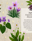Astro Herbalism