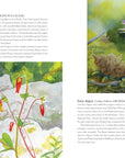 Wildflowers of the West