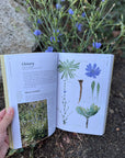 Edible Plants of the Pacific Northwest