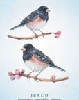 Spiritual Meaning of Birds Oracle Deck by Arin Murphy-Hiscock