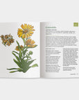 The Little Encyclopedia of Herbal Medicine: Herbal Remedies