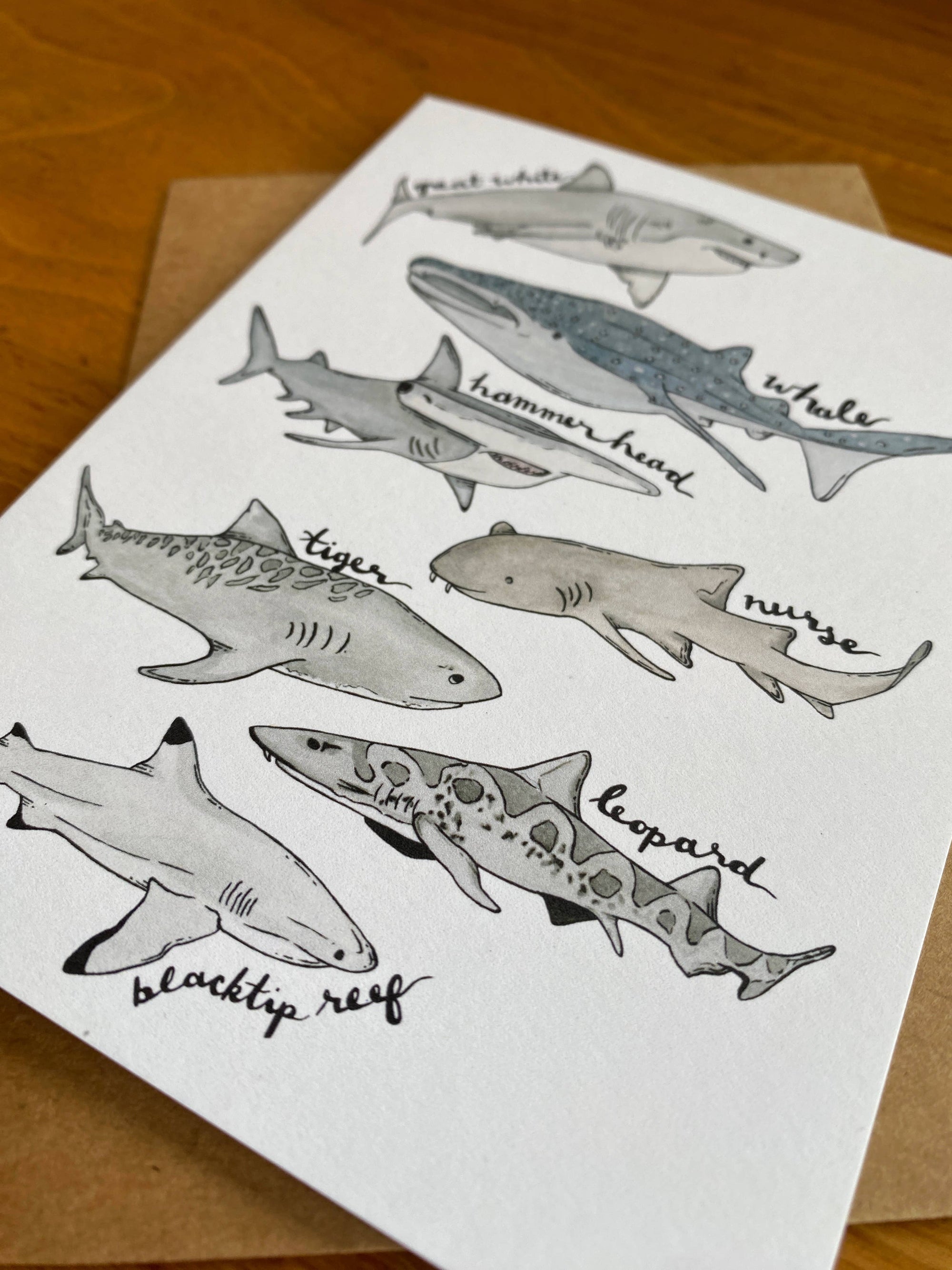 Watercolor Shark Card