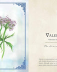 Wild Medicine: Illustrated Guide to the Magick of Herbs