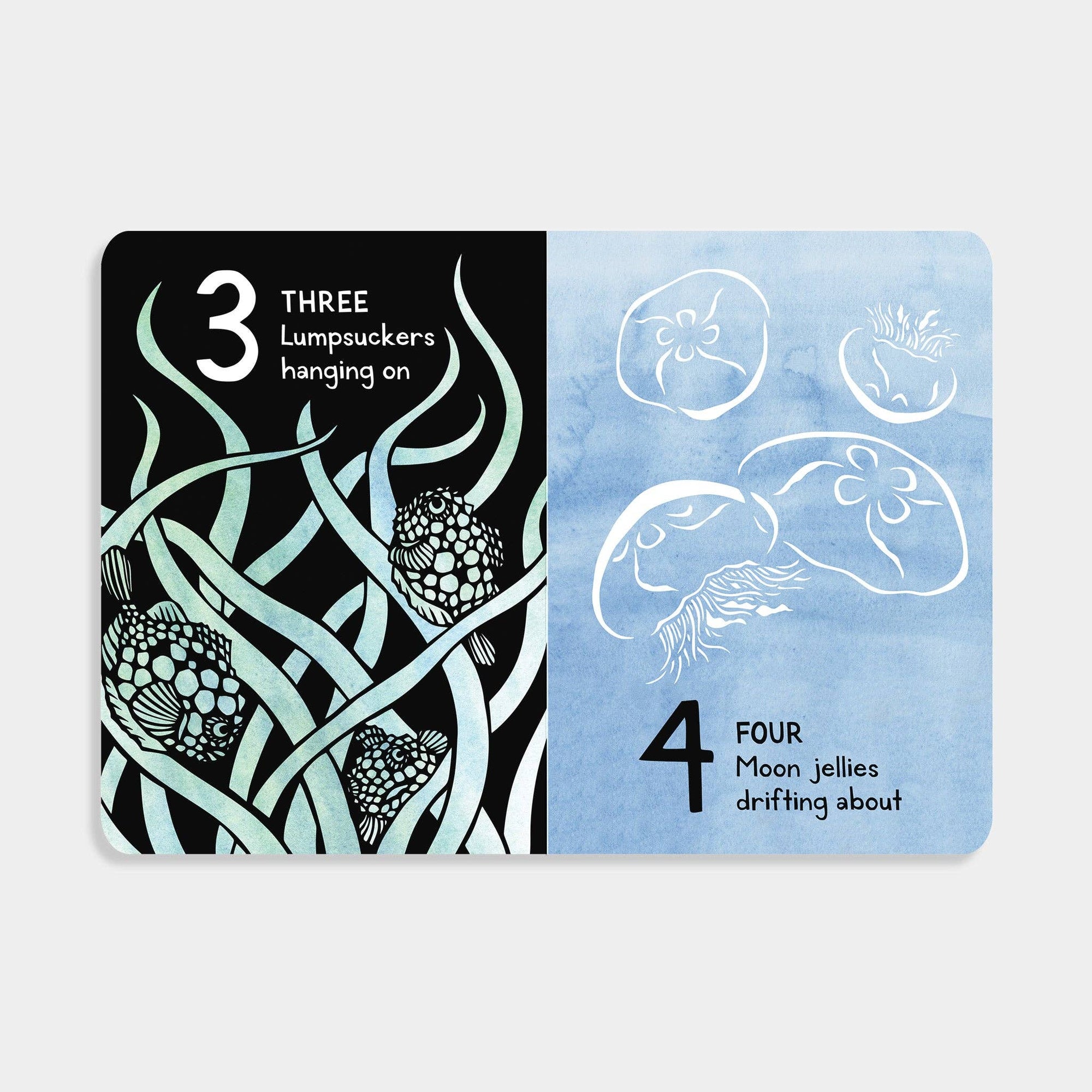 1,2,3 Salish Sea: A Counting Book for Toddlers