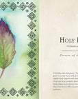 Wild Medicine: Illustrated Guide to the Magick of Herbs