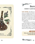 Green Witch's Oracle Deck by Arin Murphy-Hiscock