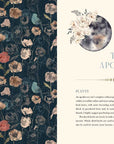 Moon Apothecary by Lorriane Anderson