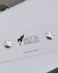 Sand Dollar Stud Earrings