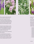 Lavender: 50 Self-Care Recipes and Projects for Wellness
