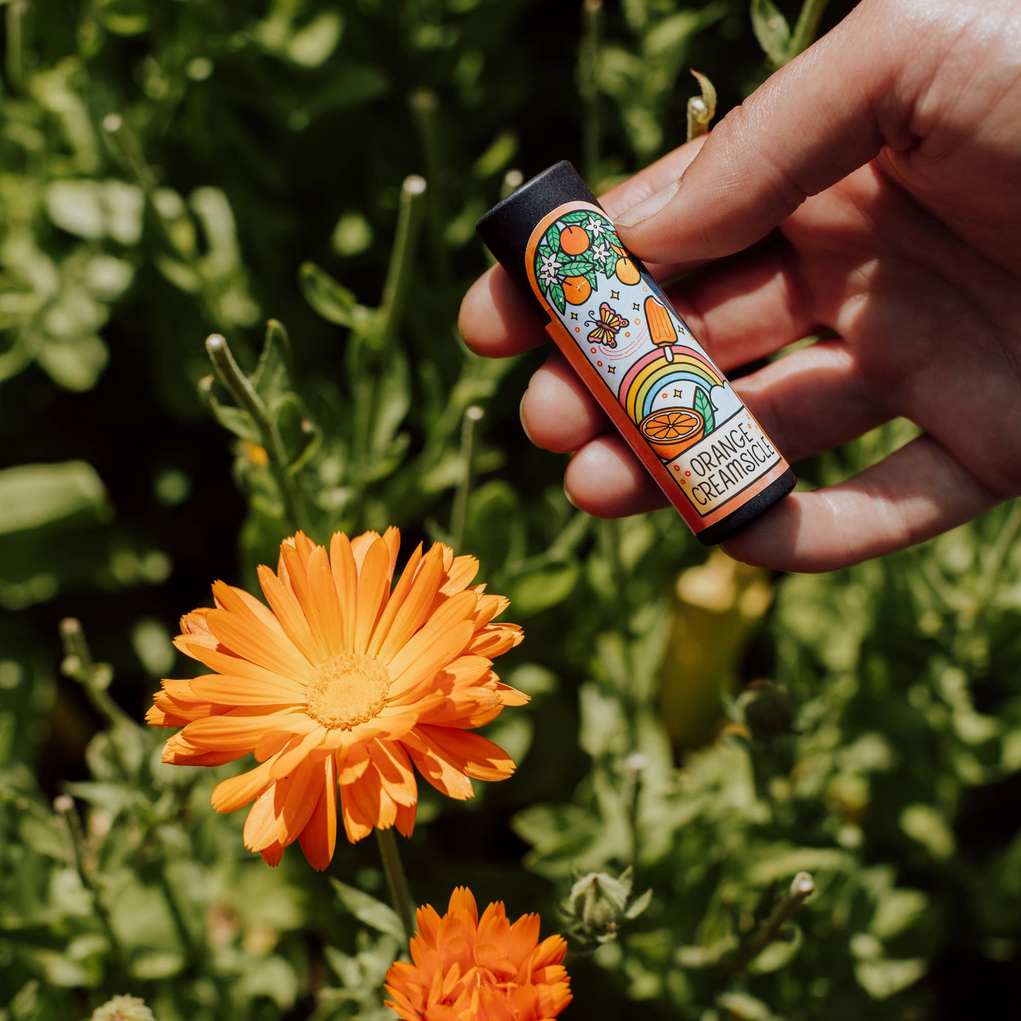 Orange Creamsicle - Herb-Infused Lip Balm
