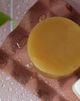 Dip - Conditioner Bar & After Swim Detangler - Tobacco & Driftwood: 3 oz