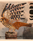 Kestrel - 8x8 Nature Wilderness Art Print 