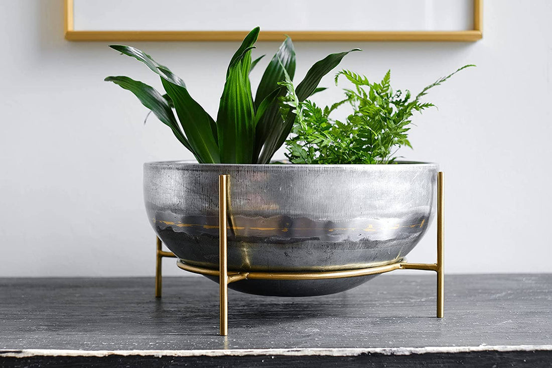 Kimisty Designs - 10 Inch Succulent Planter Bowl, Plant Pot with Gold Stand