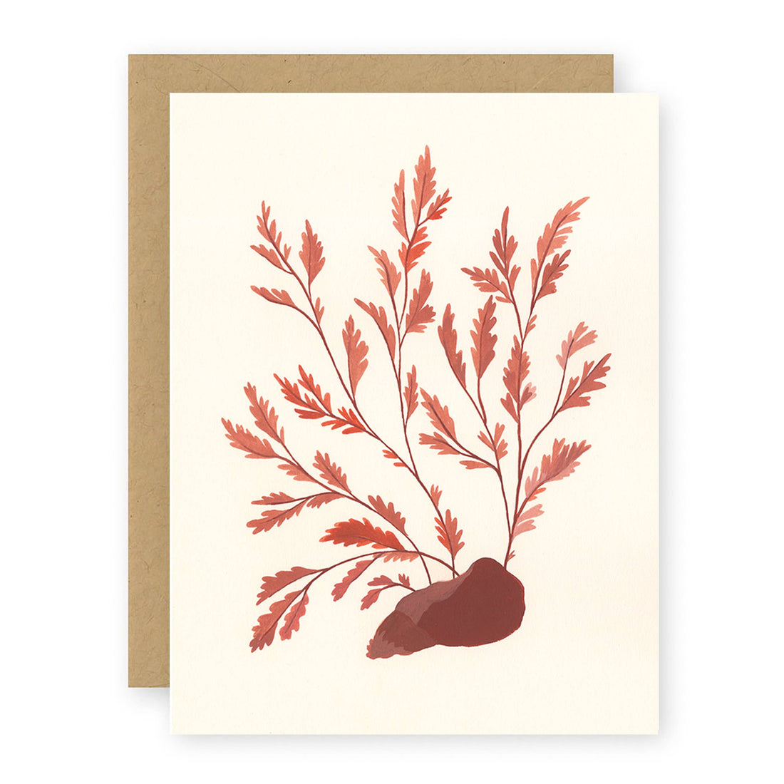 Elana Gabrielle - Seaweed Greeting Card
