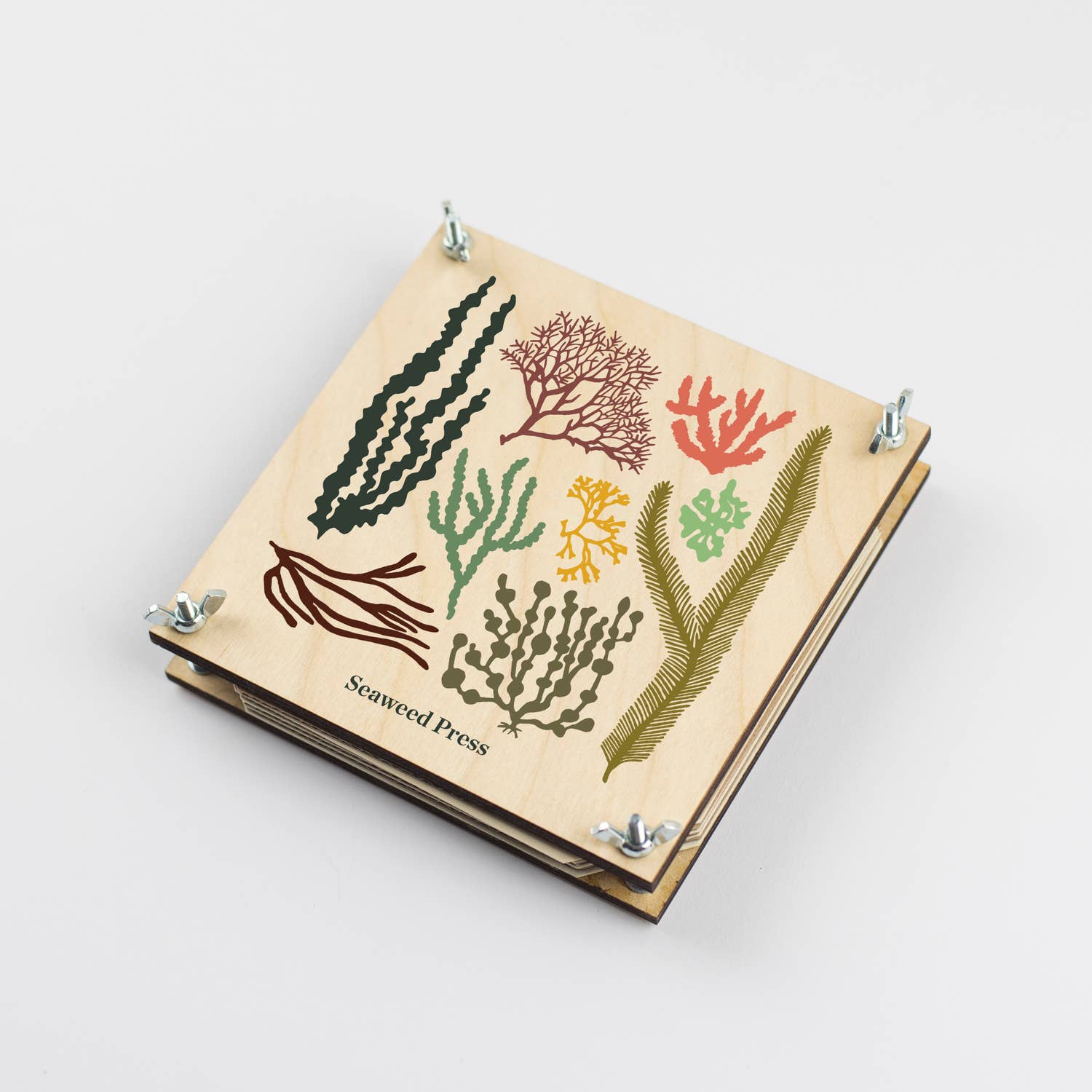 Studio Wald - Seaweed Press Kit