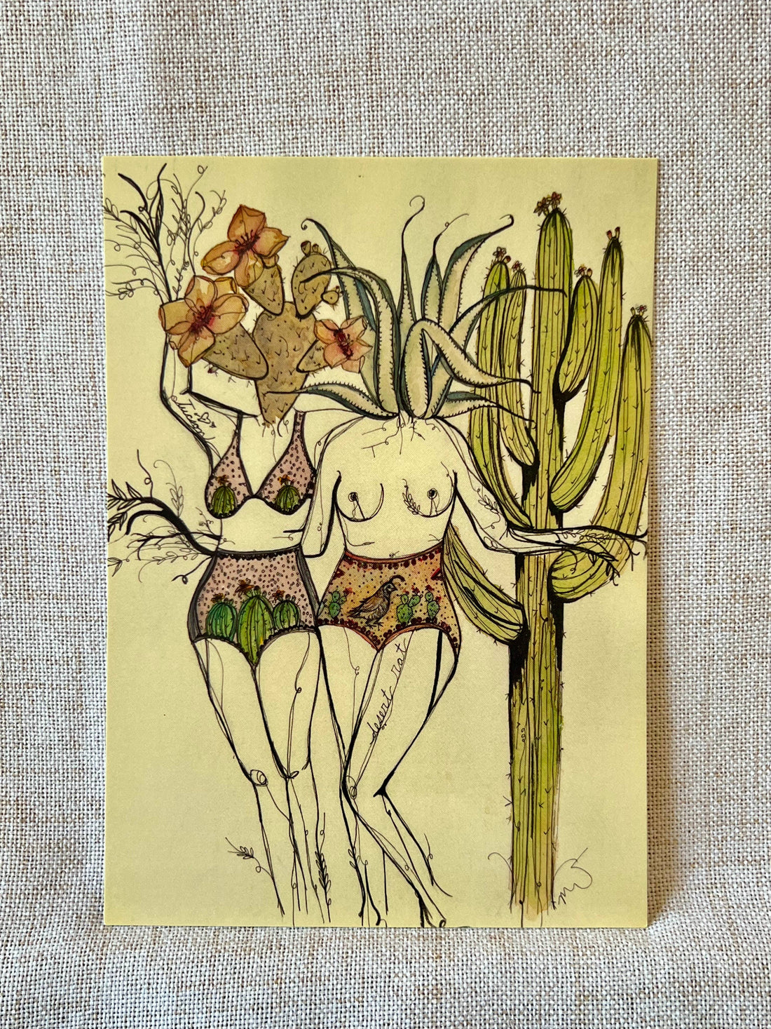 Marcy Ellis - Postcard, Desert Rats