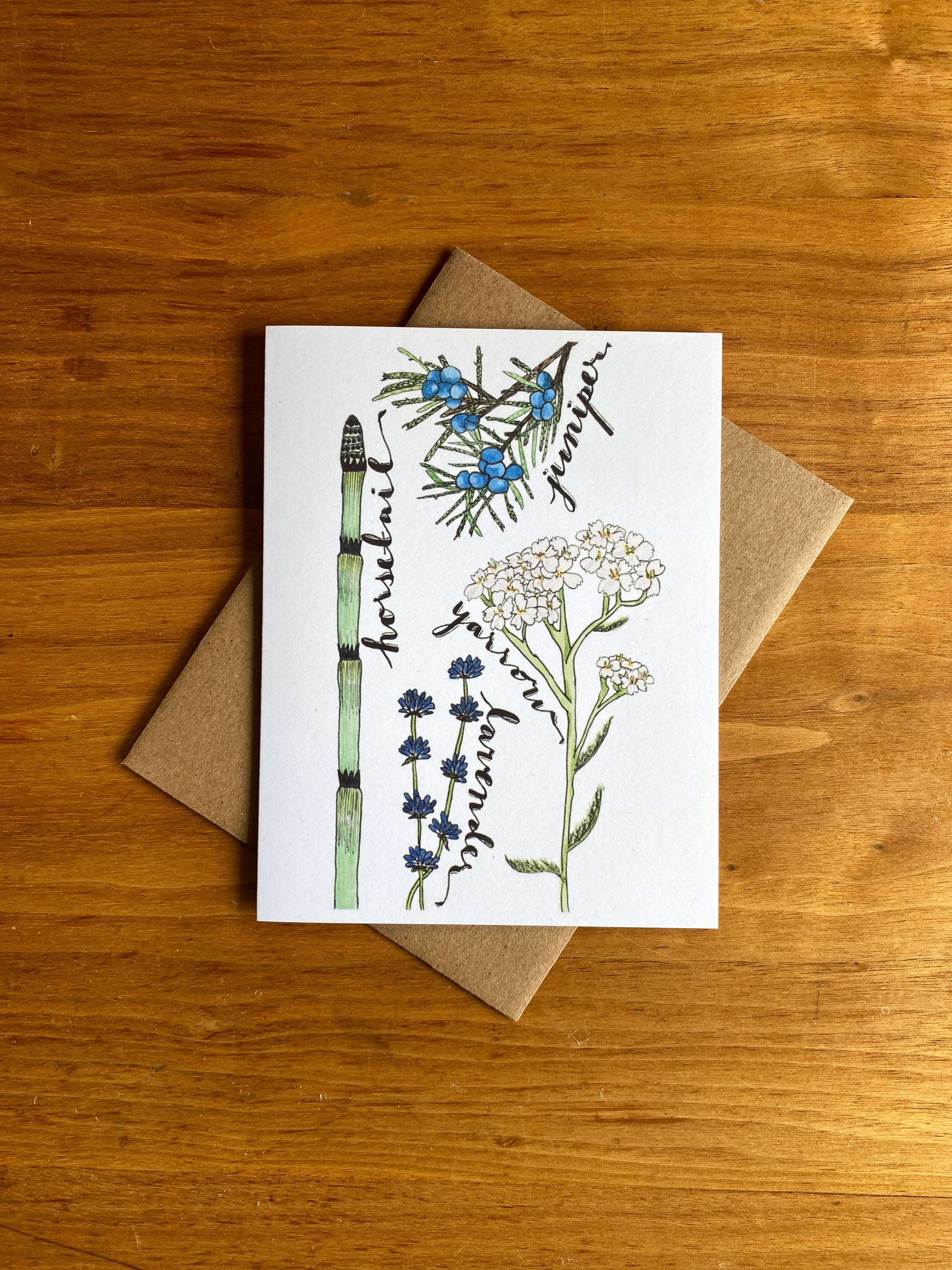 Fern In The Forest - Medicinal Plant Card