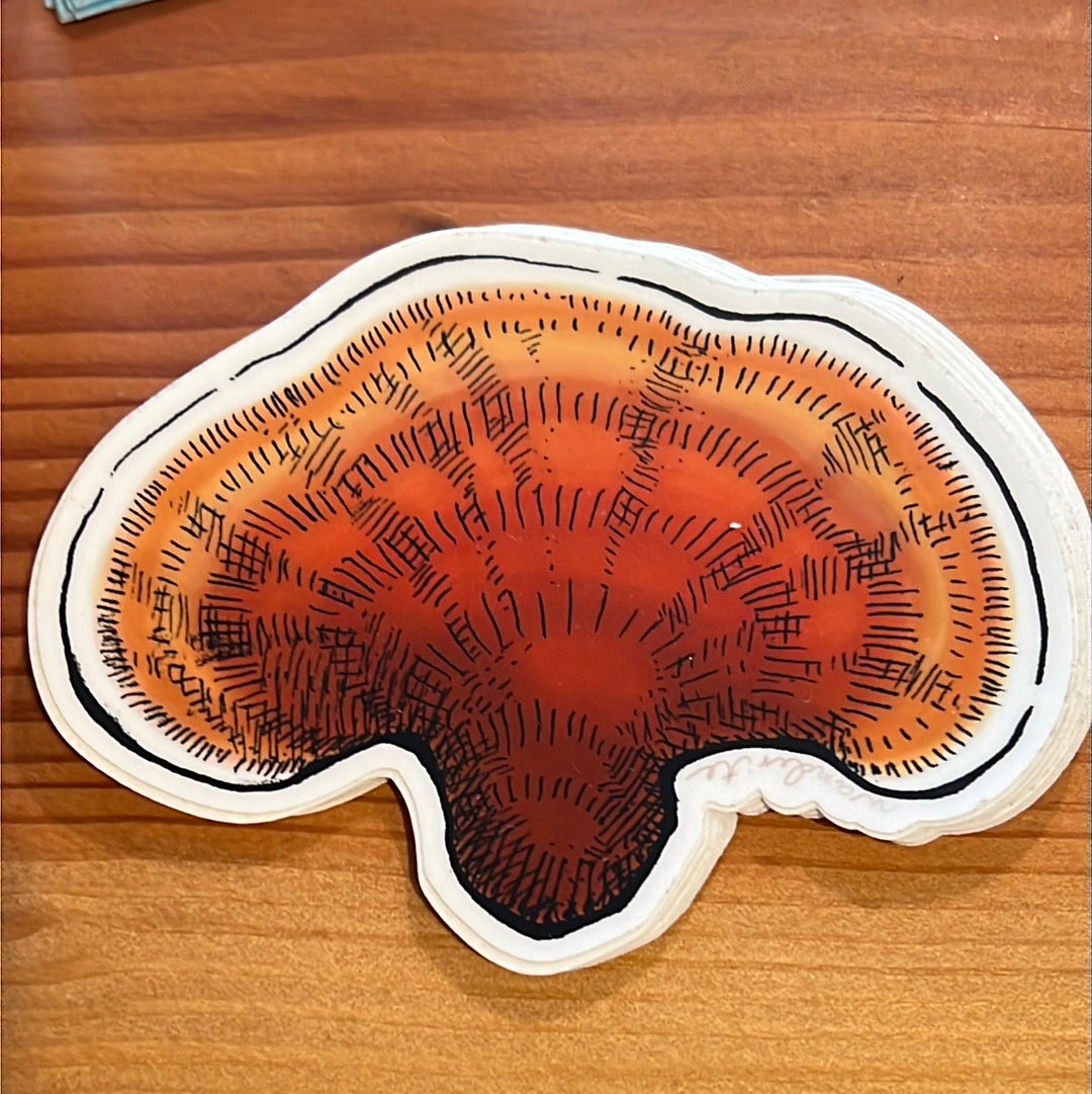 Reishi Mushroom Sticker